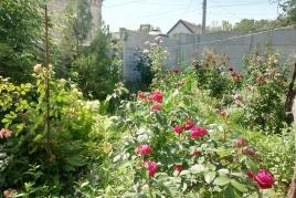 Предлагаю купить дом с участком на Корее, район 12го квартала