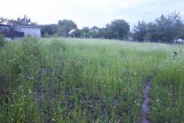 Продам участок, 10 соток, Диевка 2 (Днепр)