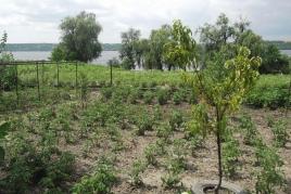 Будинок в с.Дiброва на березi Днiпра